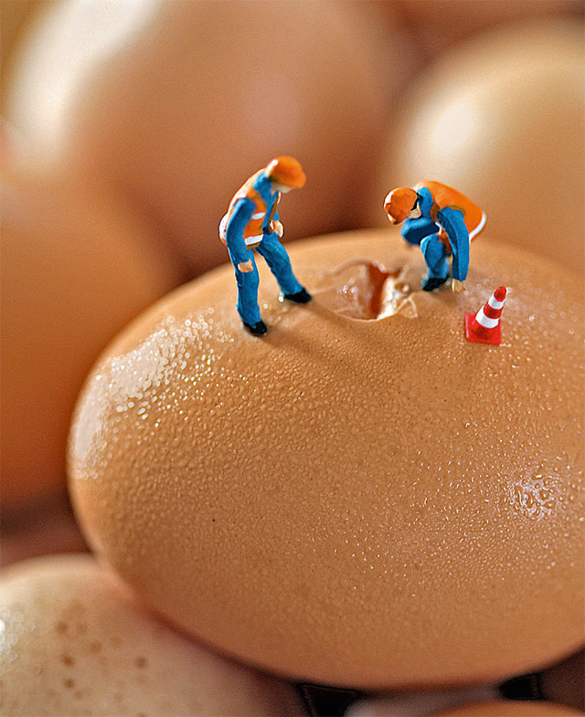 Men at work on large egg